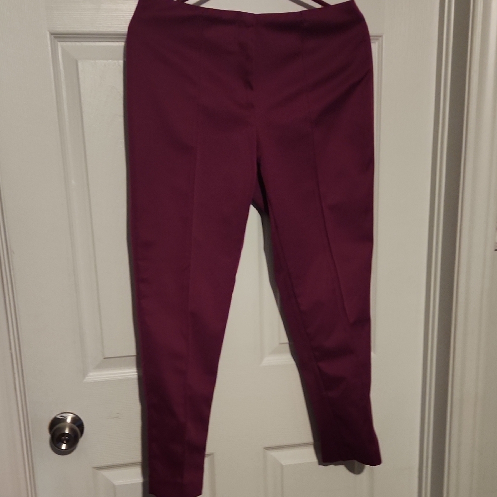 Nue Options Petites Pants Sz 8P